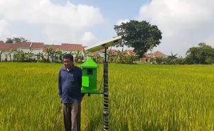 Petani Madiun Bikin Alat Pengusir Tikus Ramah Lingkungan