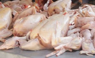 Harga Ayam di Kota Semarang Masih Fluktuatif, Ini Pantauannya