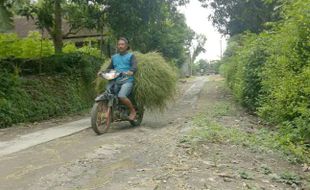 Duh, Jalan Penghubung Museum Sangiran di Sragen Rusak 500 Meter