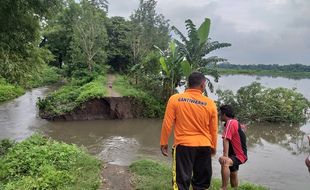 Tanggul Sungai Mlese Klaten Langganan Jebol, Ini Sebabnya