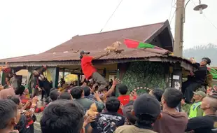 Tradisi Mondosiyo Di Karanganyar Diwarnai Upacara Lempar Ayam, Apa Maknanya?