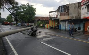 Angin Kencang Solo Tumbangkan Pohon di Jl. Ki Mangun Sarkoro, 2 Tiang Listrik Patah Timpa Motor