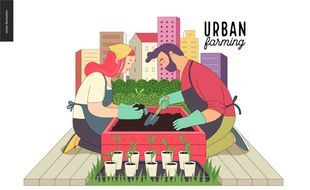 Dari Kampanye Lestari Bumi, Urban Farming Jadi Ladang Cuan Menjanjikan