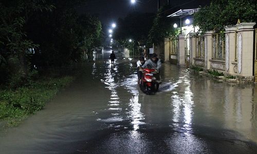 3.000 Ekor Ayam Mati Terendam Banjir di Sawahan Klaten