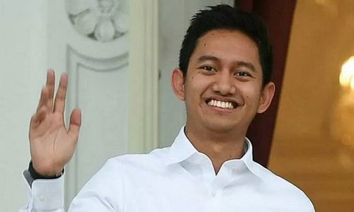 Belva Devara Mundur dari Stafsus Jokowi, Ekonom Indef: Masalah Belum Usai