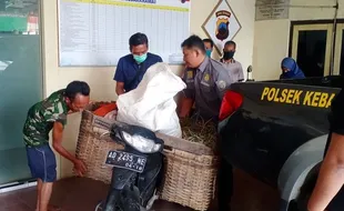 10 Berita Terpopuler: Kisah Tragis Maling Gabah di Karanganyar