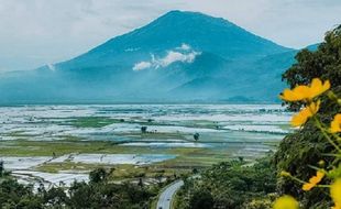 Pendangkalan dan Eceng Gondok Danau Rawa Pening Kab Semarang Bisa untuk Pulau Buatan