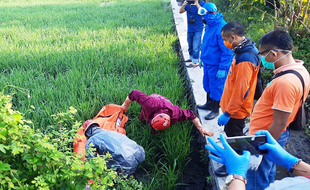 Sudah Renggut Nyawa, Ternyata Jebakan Tikus Berlistrik Tersebar di 7 Kecamatan di Sragen