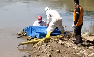 Mayat Pria Tersangkut Sampah di Bengawan Solo, Ternyata Warga Sragen yang Hilang 4 Hari