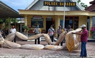 Ganggu Penerbangan dan Bisa Tularkan Covid, Tradisi Penerbangan Balon Udara di Ponorogo Dilarang