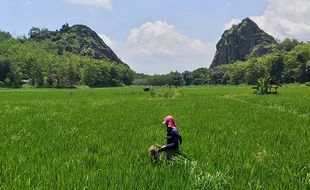 Gunung Sepikul, Gunung Api Purba di Sukoharjo