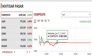 IHSG 17 Juni Naik Turun Bak Roller Coaster, Ini Penyebabnya Kata Analis