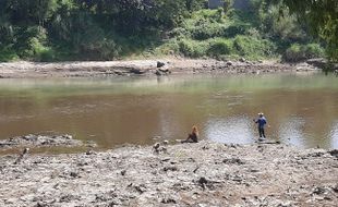 Diduga Tercemar Limbah Pabrik, Sungai Bengawan Solo Berwarna Hitam