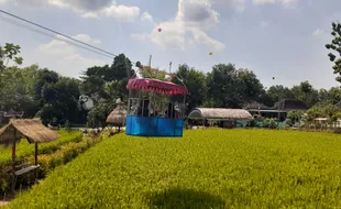 Dua Bersaudara di Madiun Sulap Sawah jadi Taman Wisata Anak