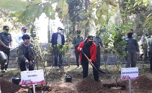 Awas, 25 Lokasi Rawan Karhutla Pulau Jawa di Kawasan Gunung