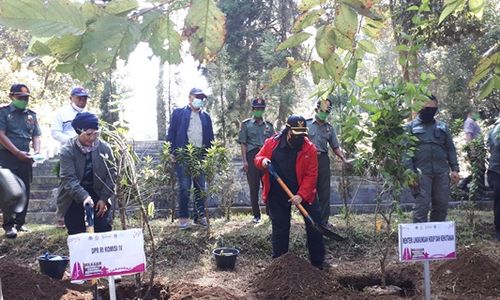 Awas, 25 Lokasi Rawan Karhutla Pulau Jawa di Kawasan Gunung