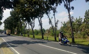 Sabar, Pelebaran Jalan Masaran-Pungkruk Sragen Belum Pasti Tahun Ini