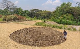 Bukan Crop Circle, Ladang di Klaten Ini Berbentuk Obat Nyamuk