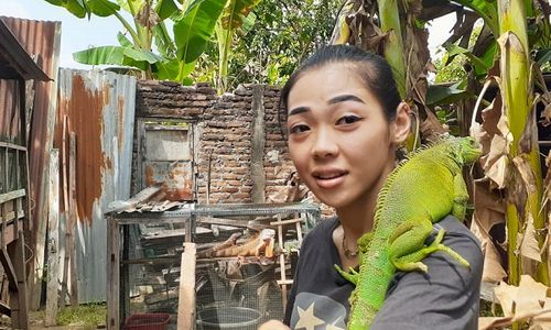 Bisnis Ternak Iguana Menjanjikan, Pria Madiun Pun Rela Resign dari Kerjaan