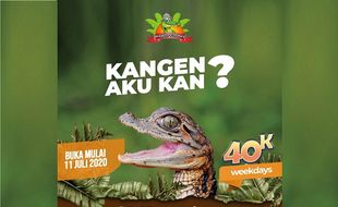 Sudah Buka & Ada Promo, Saatnya Berlibur ke Predator Fun Park!