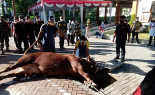 Iduladha di Solo: Pemkot Serahkan 7 Sapi Kurban, Wawali Purnomo 1