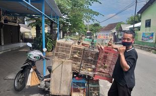 Pasar Cokro Kembang Klaten Ditutup Gegara Covid-19, Pedagang Burung Kecele