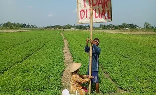 Pemkab Sragen Kunci Sawah Lestari 42.286 Hektare, Dilarang Alih Fungsi