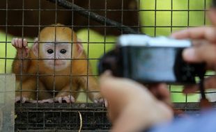 Libur Lebaran, TSTJ dan Taman Balekambang Solo Tetap Buka Lho!