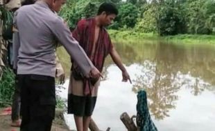 Tragis! Ibu Rumah Tangga di Mamuju Tengah Diterkam Buaya