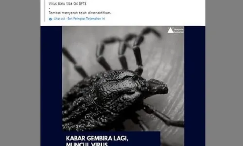 Cek Fakta: Virus Baru yang Lebih Mematikan dari Covid-19 Beredar di China?