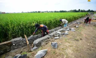 Tekan Angka Pengangguran, Kementerian PUPR Percepat Penyaluran Program Padat Karya Tunai