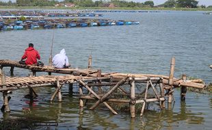 Kemarau, Petani Ikan di Waduk Mulur Sukoharjo Panen Lebih Awal