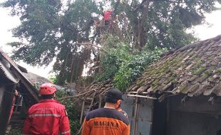 1 Rumah & 3 Kios di Pasar Klepu Ceper Klaten Ambyar Diterjang Puting Beliung