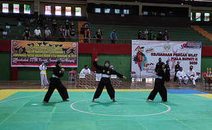 PSHT, PSH Winongo, Ini 11 Perguruan Silat Peserta Kejuaraan Pencak Silat Wonogiri