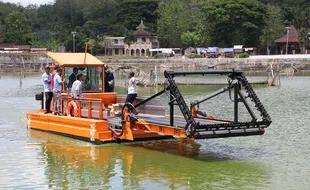 Bakal Usir Eceng Gondok Rawa Jombor, Aquatic Harvester Diuji Coba