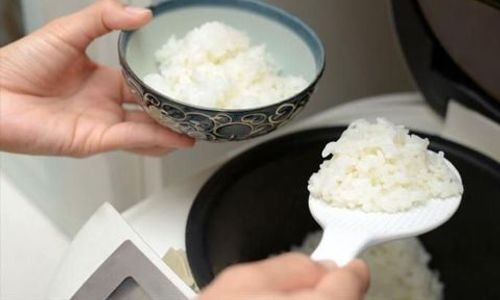 Agar Tidak Cepat Basi dan Kering, Berikut Tips Menanak Nasi di Rice Coocker