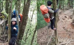 Pendaki Panjat Pohon Gara-Gara Dikejar Babi Hutan, Netizen Ngakak Online