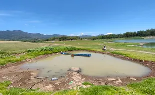 Kering, Waduk Tandon Krisak Wonogiri Jadi Padang Rumput Cantik