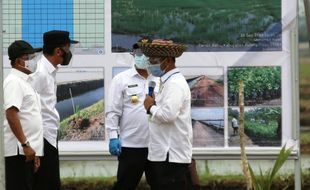 Presiden Jokowi Tinjau Percontohan Kawasan Food Estate Kalteng