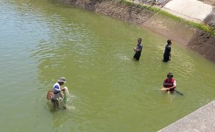 Penutupan Dam Colo Sukoharjo Mundur 10 Hari, Ini Penyebabnya