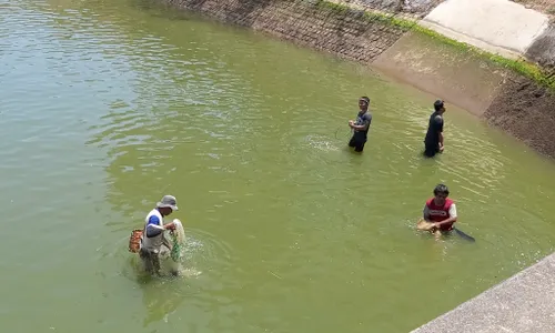 Berkah Dam Colo Nguter Ditutup, Ratusan Warga Panen Ikan