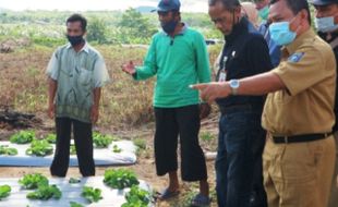 Petani Milenial Berjuang Entaskan Rentan Rawan Pangan