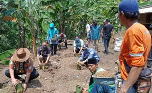 Kolaborasi dan Kemitraan, Kunci Pengembangan Agribisnis Talas Beneng