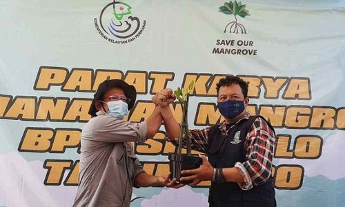 BPDASHL Solo Gelar Padat Karya Penanaman Mangrove