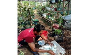 Keren! Pemuda Madiun Ini Manfaatkan Sampah Popok untuk Pupuk Tanaman