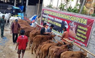 Mantap! Beli Sapi di Wonogiri Kini Bisa Via Online