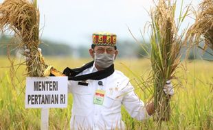 Stok Beras Melimpah, Mentan Syahrul Sampaikan Terimakasih Atas Kerja Keras Para Petani