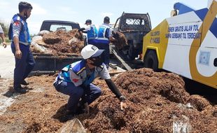 As Roda Patah, Pikap Bermuatan 1 Ton Tembakau Terbakar di Tol Madiun