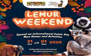 Tawarkan Liburan Seru Sambil Belajar tentang Fauna, Batu Secret Zoo Gelar Lemur Weekend