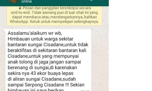 Bikin Ngeri! Ada Pesan Berantai Soal 43 Buaya Lepas ke Sungai